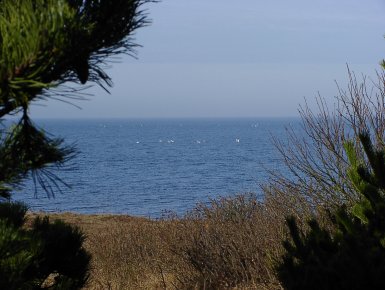 Ausblick auf den Fjord Ausblick auf den Fjord