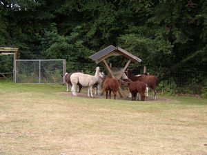 Ebeltoft Zoo