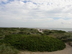 In Grenen In Grenen