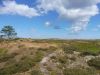 Strandheide