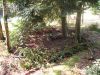 Kinderspaß Im Wald