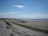  Und Noch Einmal Björkäng Strand