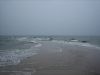 Grenen Im Regen