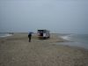 Sanddormen
