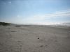 Und Nach Süden Am Gleichen Strand