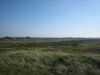 Dünenlandschaft Bei Nymindegab