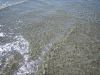 Im Wasser