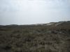 Hinter Den Dünen